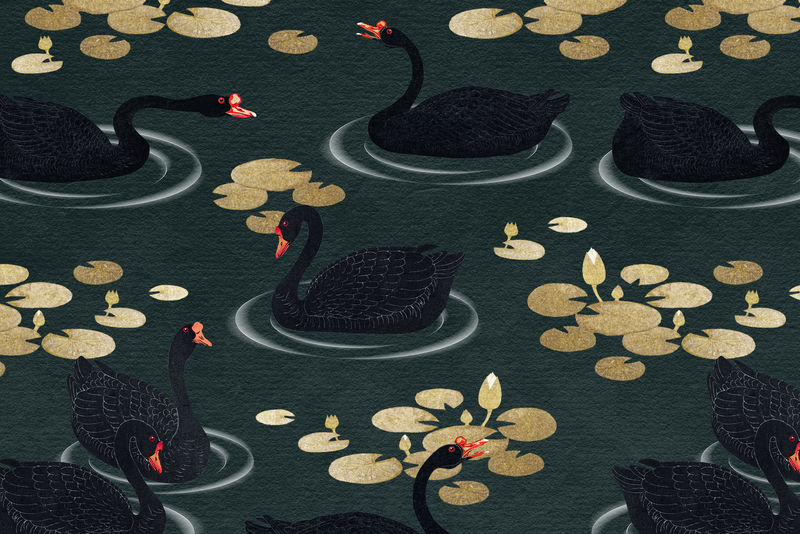 深绿色背景插图上有金色荷花图案的游泳黑雁
