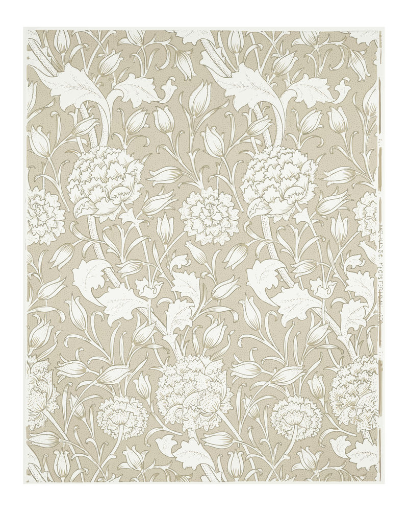 棕色野生郁金香复古插画墙壁艺术印刷品和海报设计混搭自威廉·莫里斯的原画