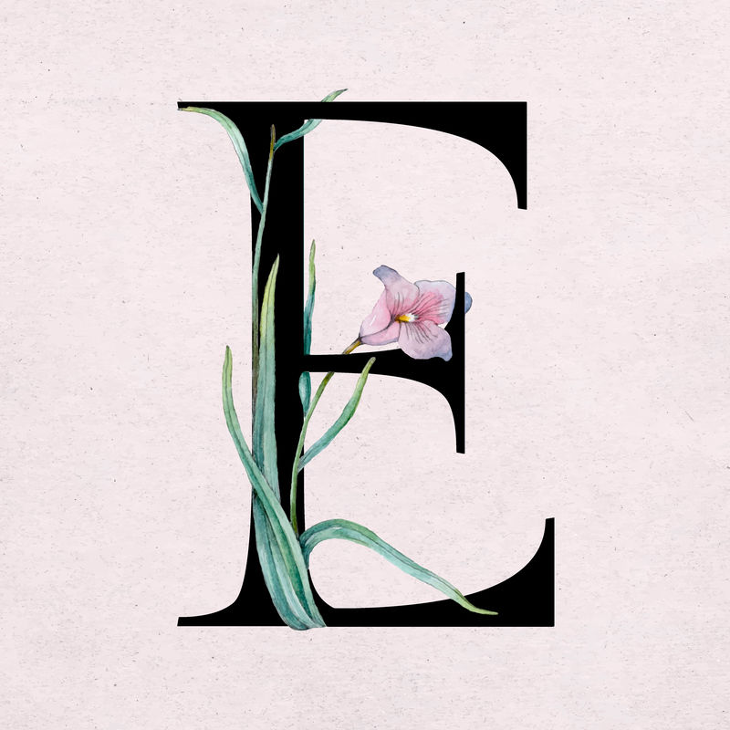 花卉e字母字体矢量浪漫排版