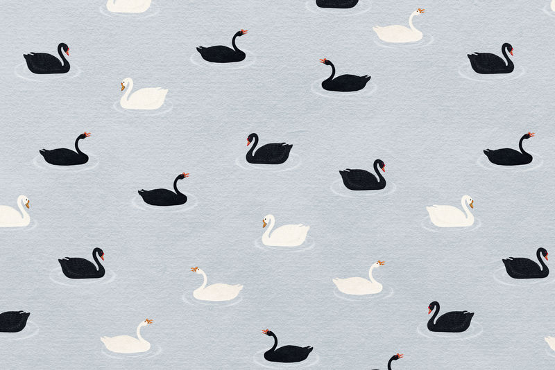 蓝色背景插图上的黑白鹅图案