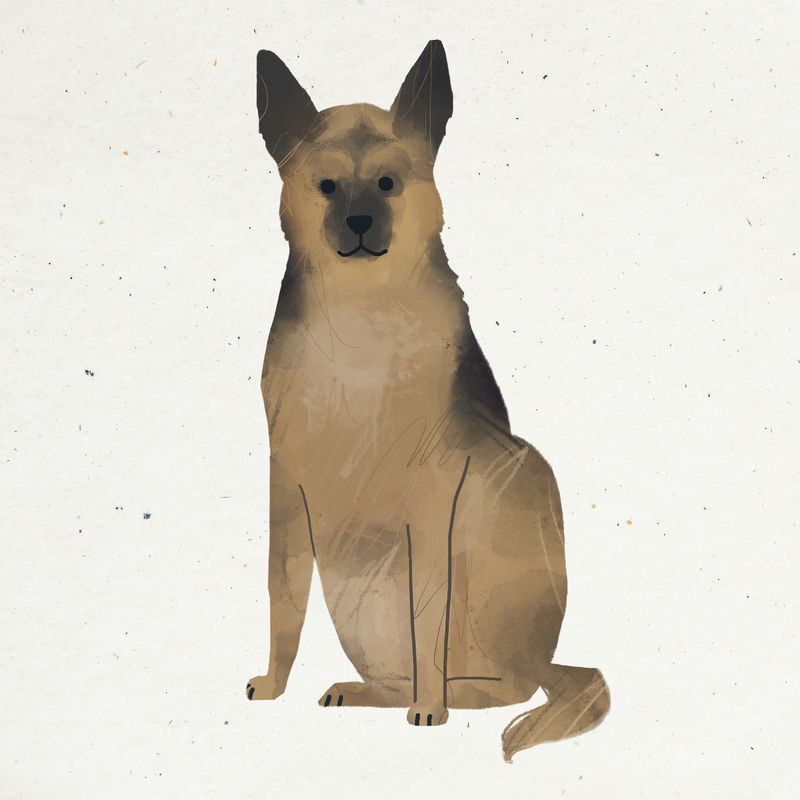 灰狗水彩画在白色背景向量上