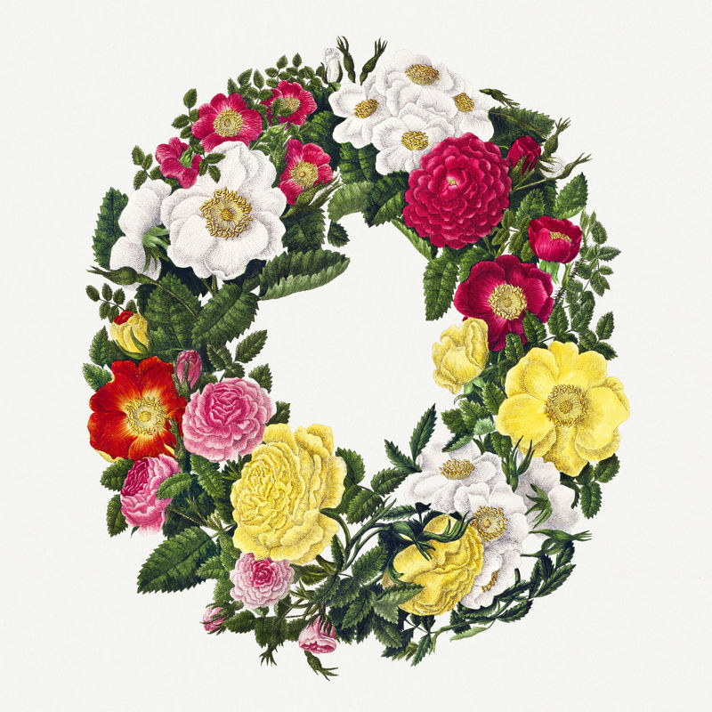复古玫瑰花环插画植物墙艺术