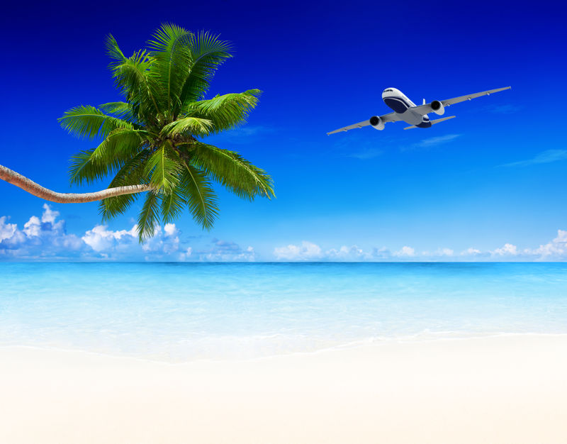 飞机和海滩蓝天棕榈树