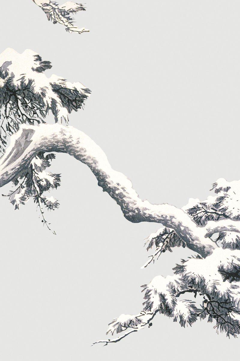 大雪压青松的图画图片