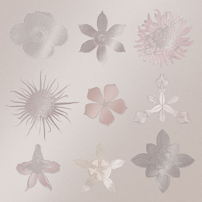 闪亮复古花饰设计元素