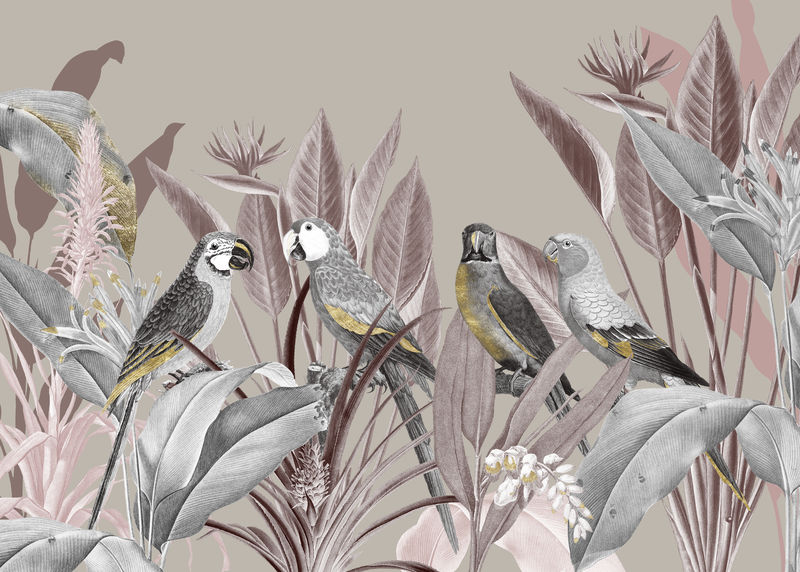 热带背景插图金刚鹦鹉