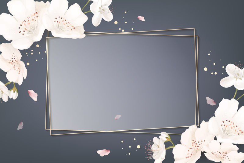 矩形樱花框架向量