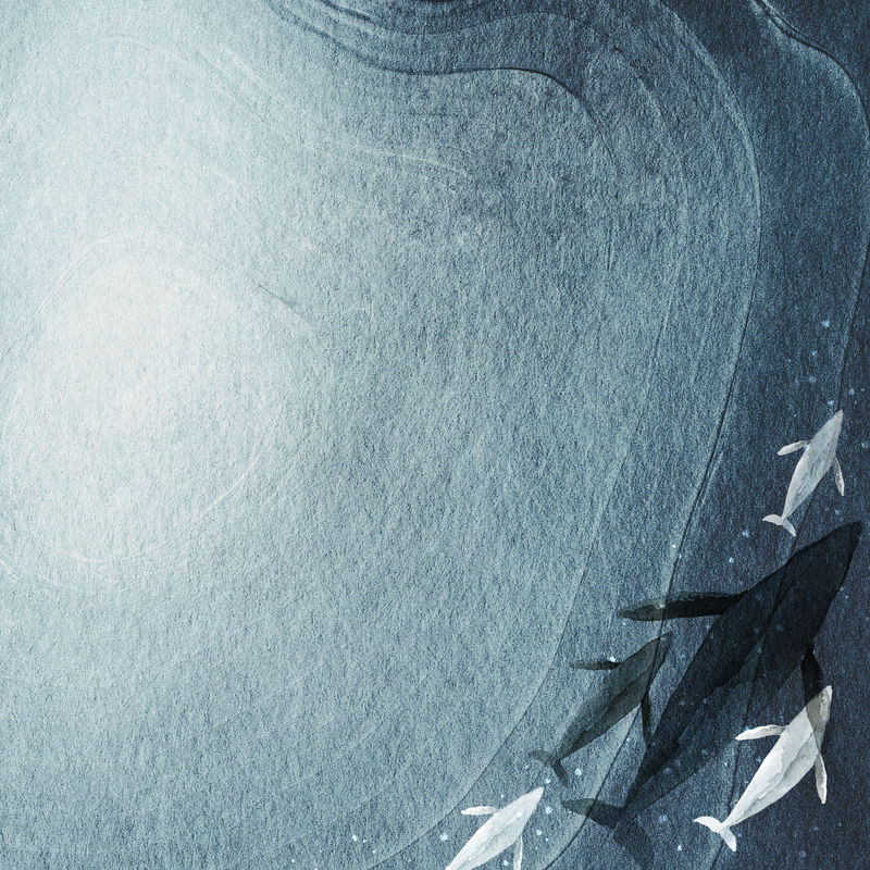 水彩画鲸鱼在纸横幅模板