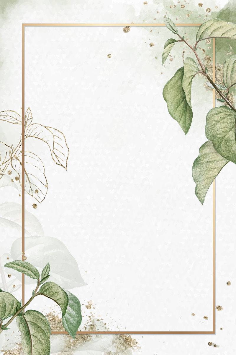 brian上的金色框架\u0026ccedil;杏向量上的