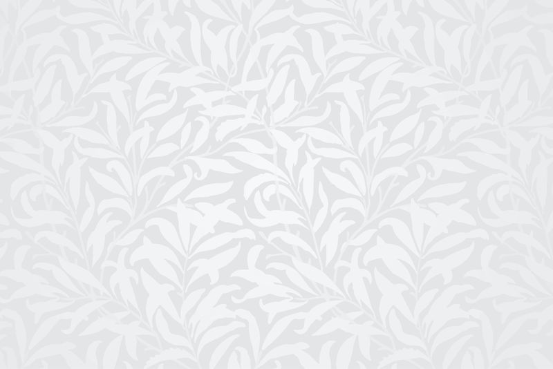 白叶图案背景向量