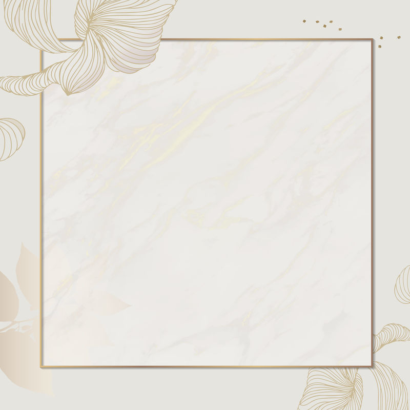 金花方框社交广告模板向量