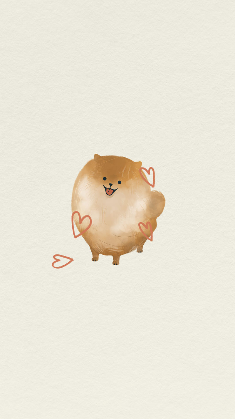 蓬松波美拉尼亚手机屏幕背景