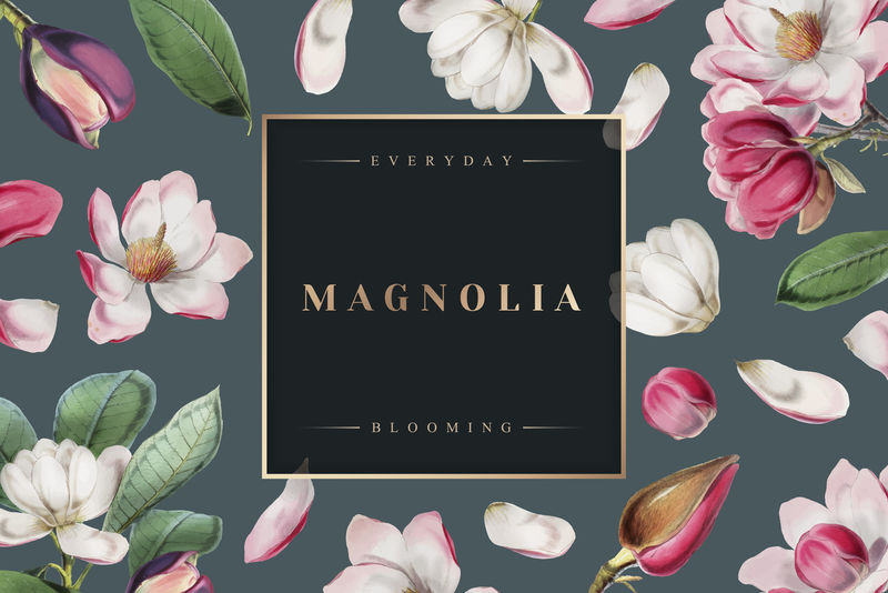 每日开花花架向量机