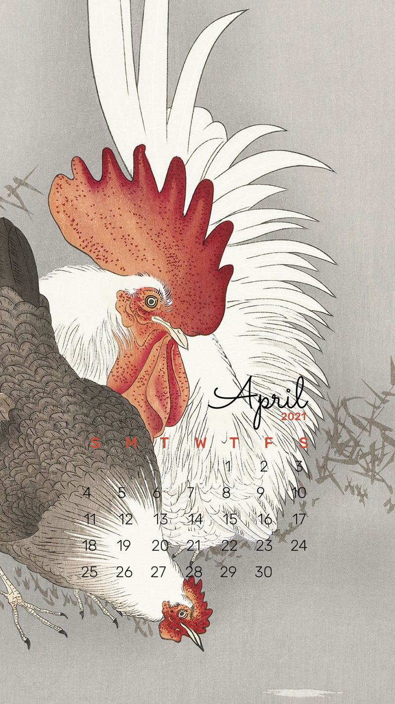 日历2021年4月模板手机墙纸psd公鸡和鸡混合从大原Koson