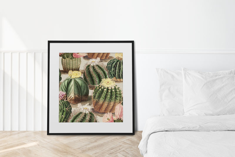 框架复古仙人掌内墙艺术模型设计元素