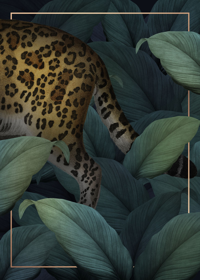 金色框架插图上的猎豹