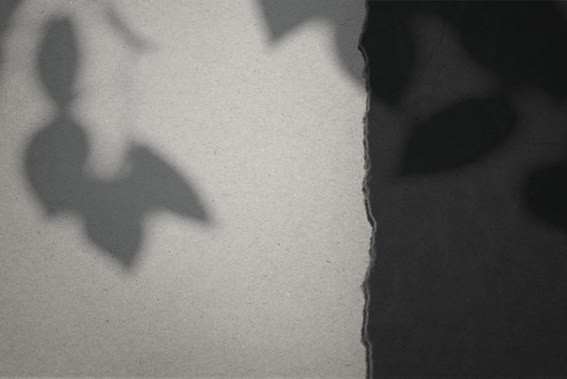 两个纹理背景和纸模型