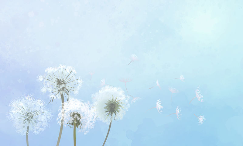 手绘蒲公英配蓝天插图