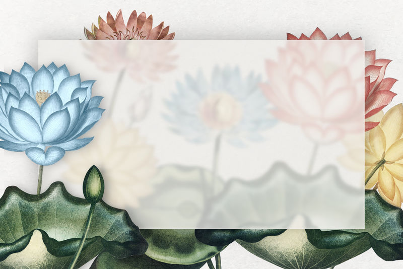 空白彩色睡莲框架插图