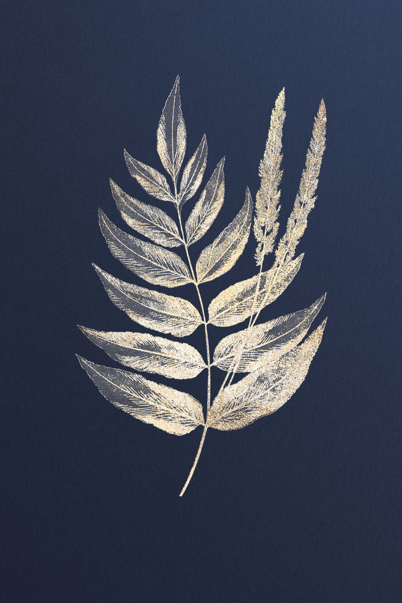 金蕨叶设计元素