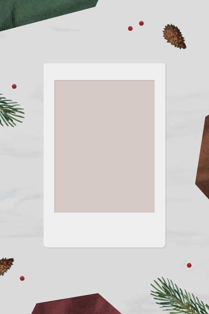 圣诞装饰空白即时相框矢量