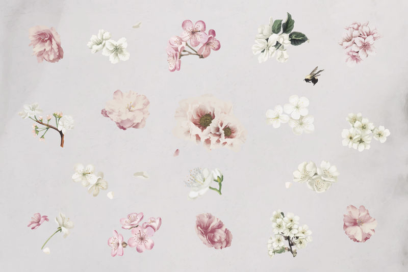 花卉设计元素矢量集合