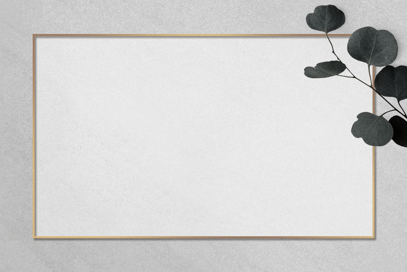 铜框桉树叶psd灰色背景