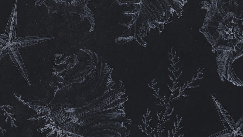 金珊瑚海星背景设计