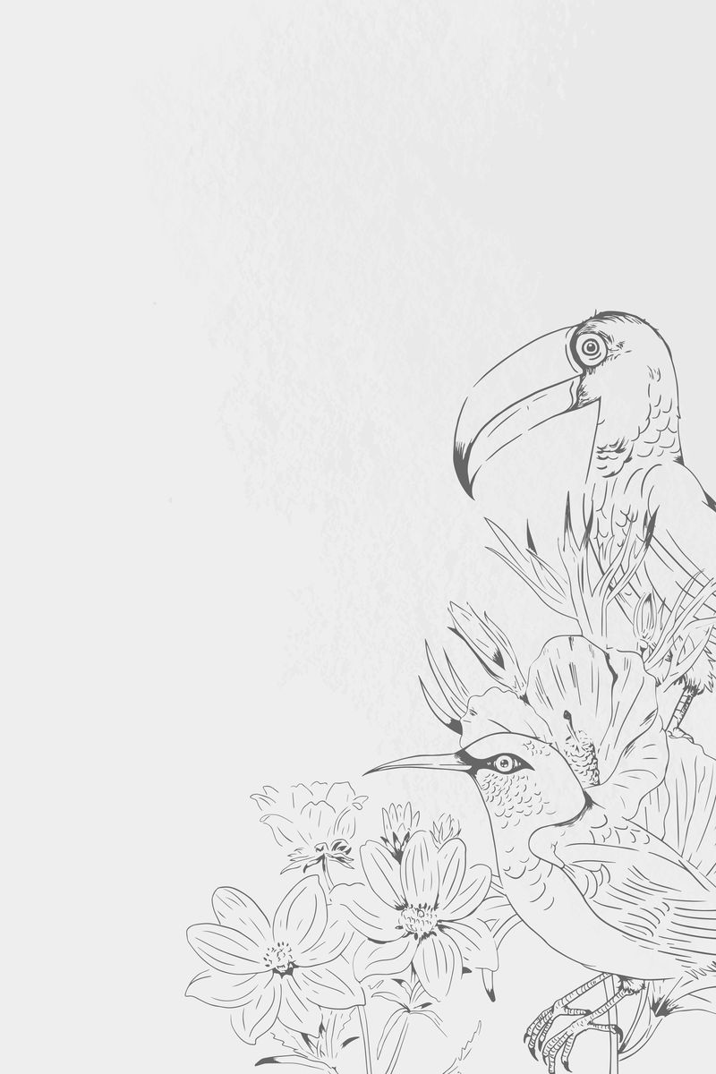 白色背景向量上的手绘花鸟图案