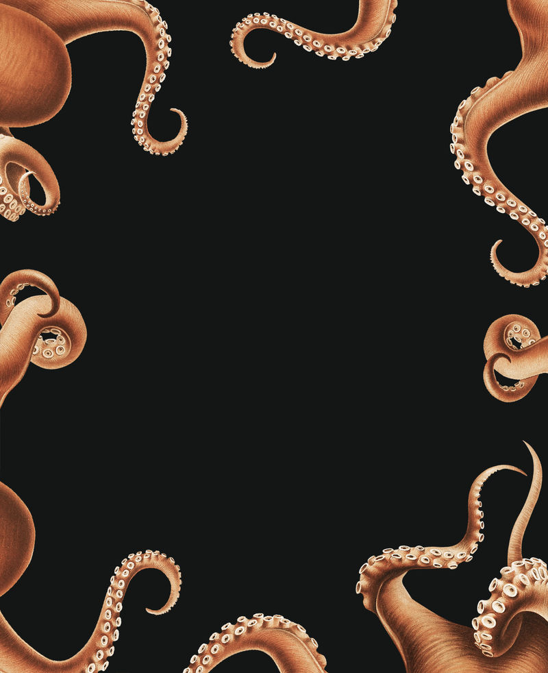 章鱼触须框架设计与复制空间