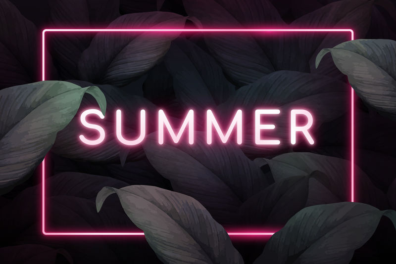 矩形粉红色霓虹灯框架热带树叶背景向量