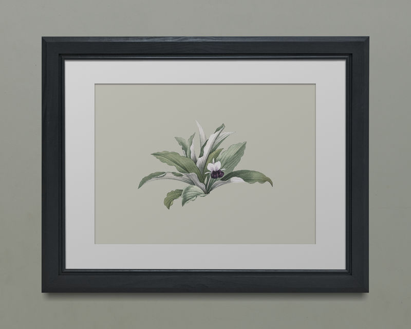 黑色相框模型插图