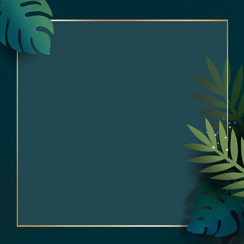 空白方叶金框