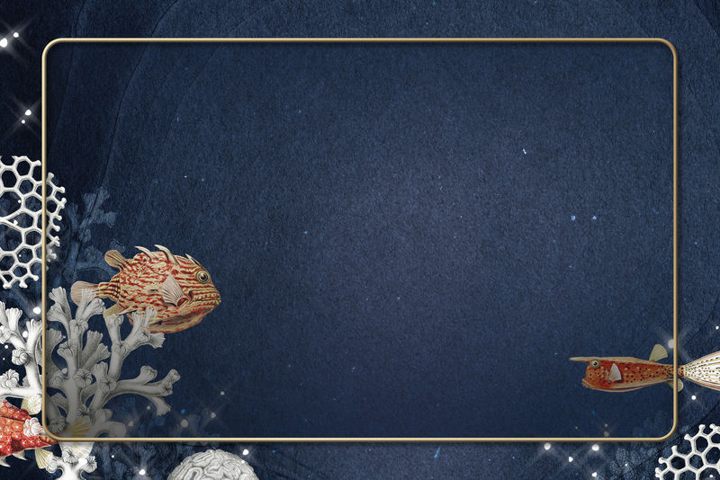 海洋生物珊瑚礁骨架设计资源