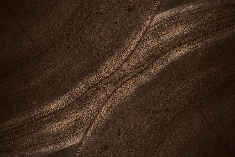 棕色石头纹理背景向量