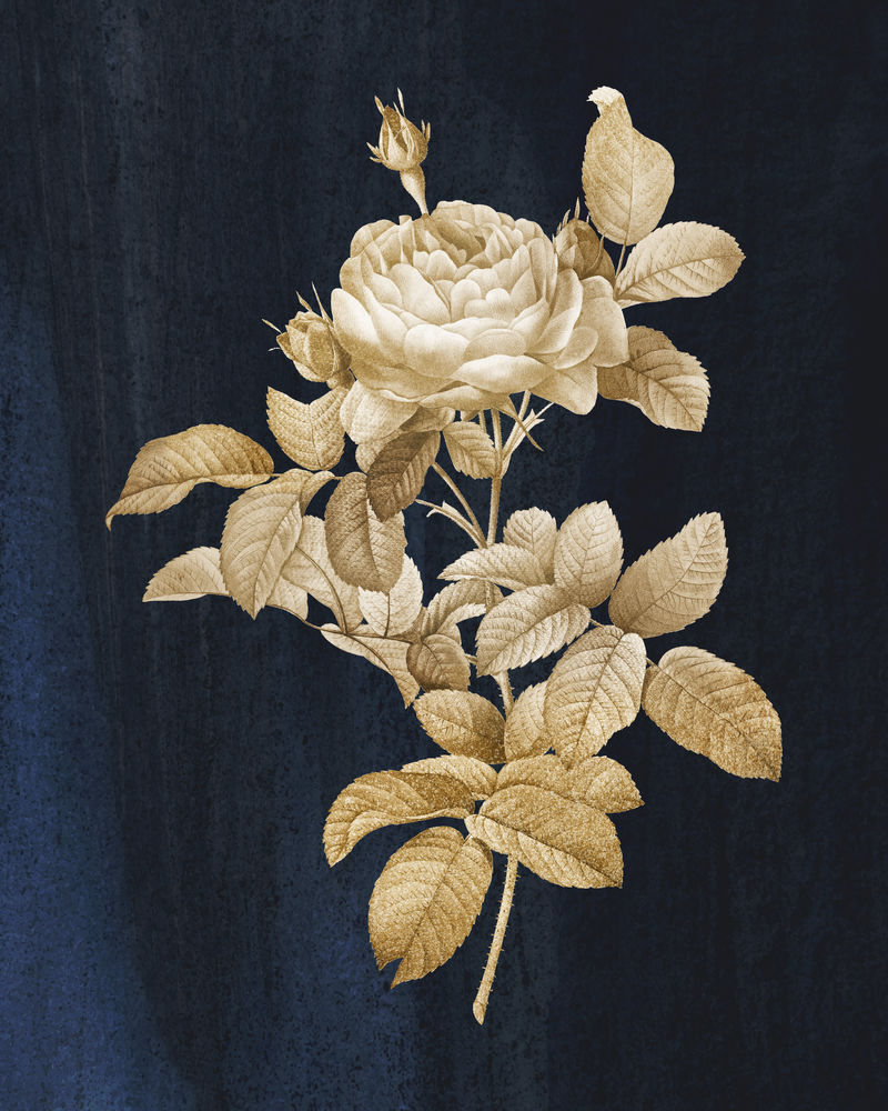 金色玫瑰复古墙画印刷海报设计由pierre joseph redout原创作品混合而