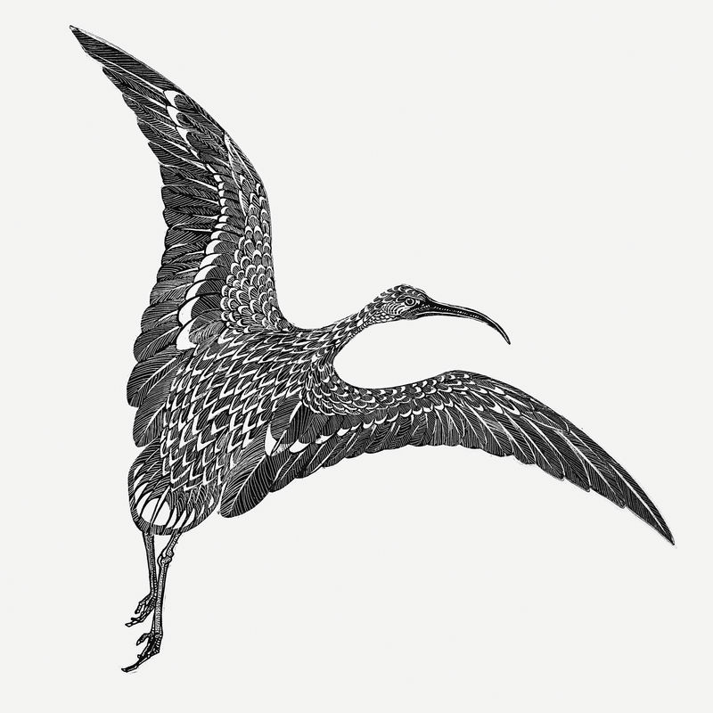 复古鹳psd艺术印刷品由西奥·范·霍伊泰玛（Theo van Hoytema）的艺术作品混合而成