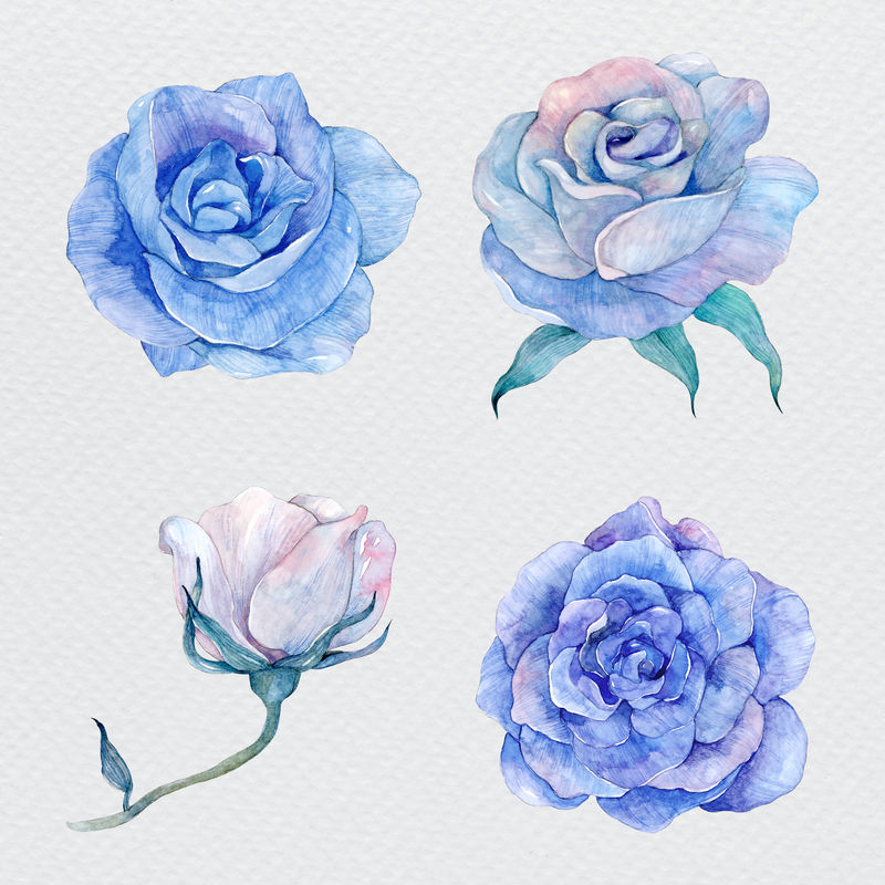 蓝色水彩花卉插画素材 高清图片 摄影照片 寻图免费打包下载