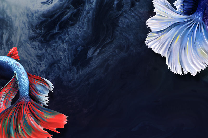 贝塔鱼尾背景设计资源