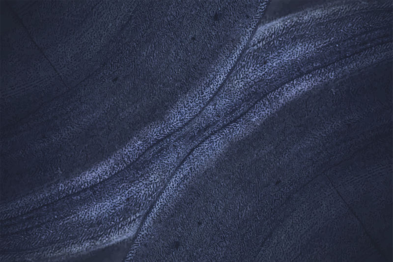 蓝石纹理背景向量