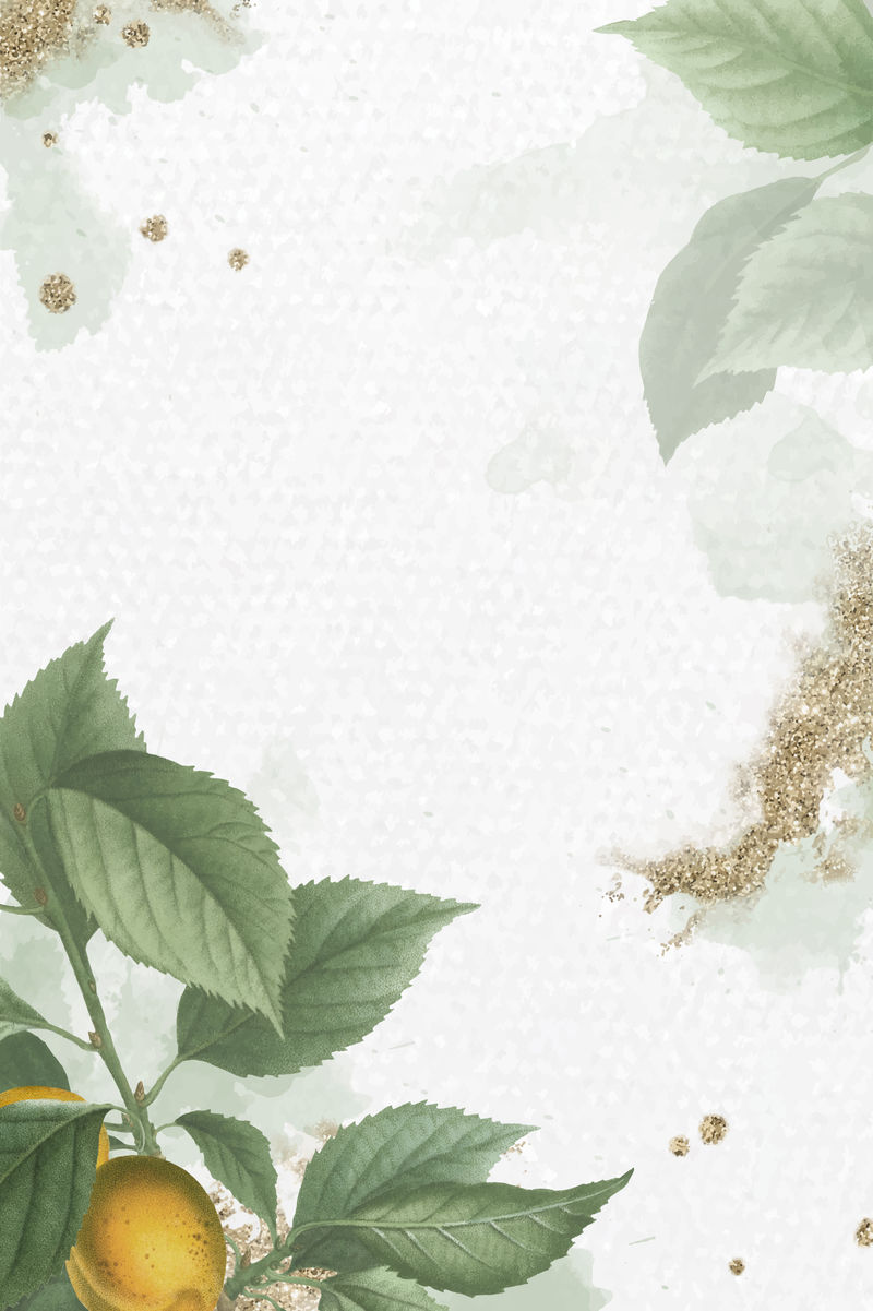 Brian\u0026ccedil;杏叶图案背景向量