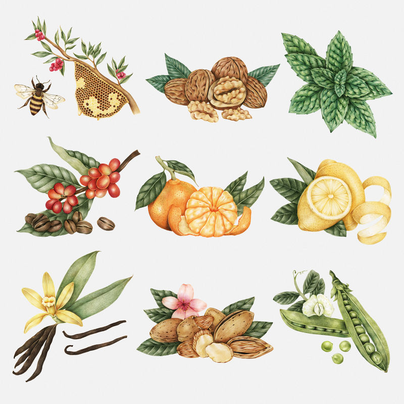 手绘果蔬贴纸设计元素套装