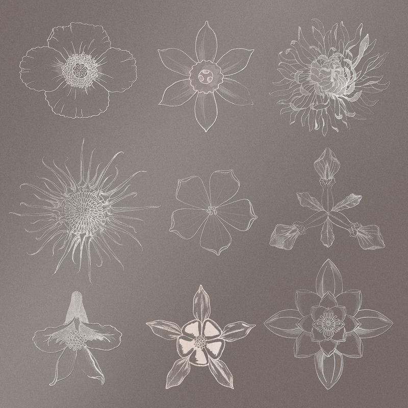 线描花饰设计元素