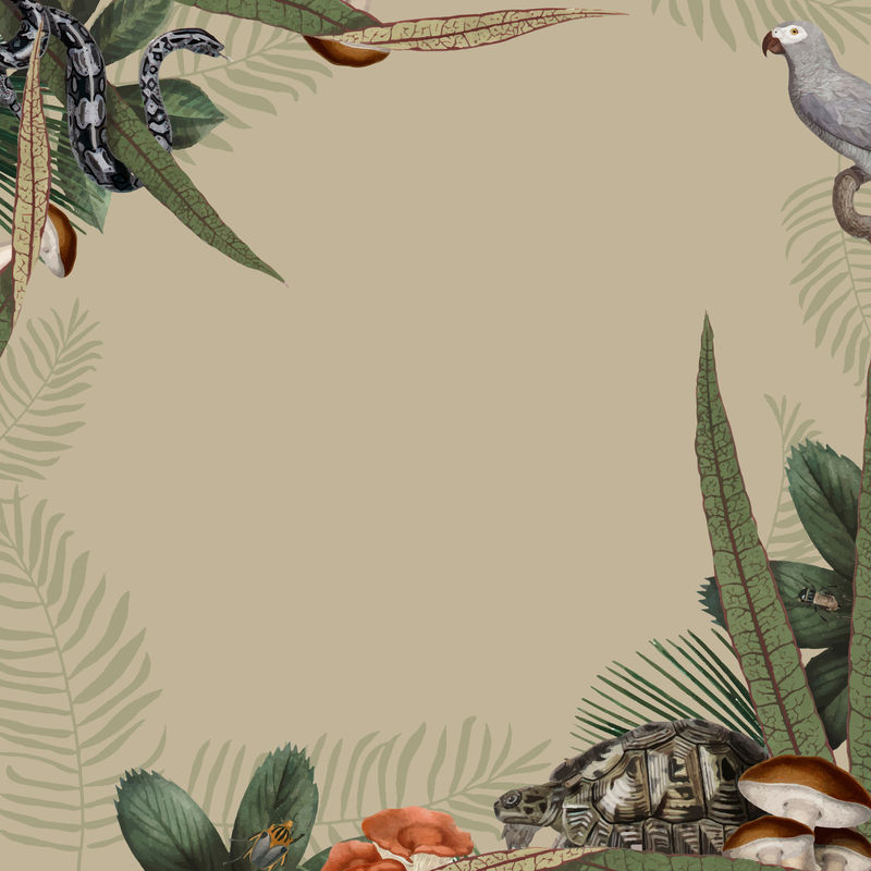 米黄色背景上的丛林动物框架向量和设计空间