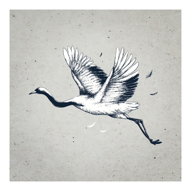 飞鹤复古墙画印刷海报设计混搭原创艺术作品