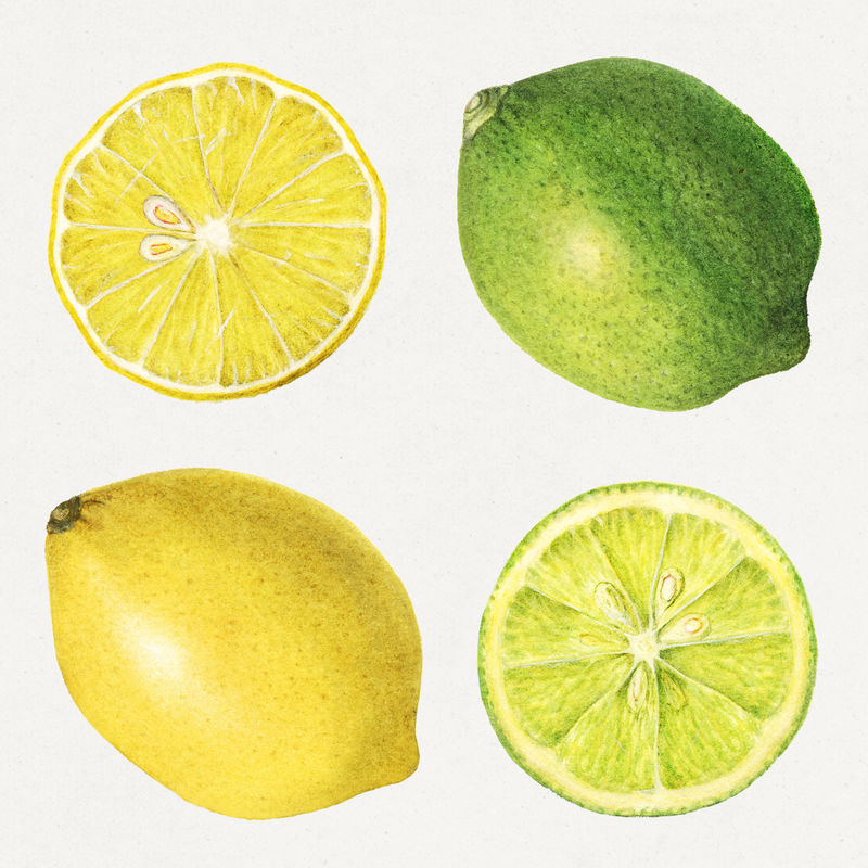 精致手绘新鲜混合柑橘套装