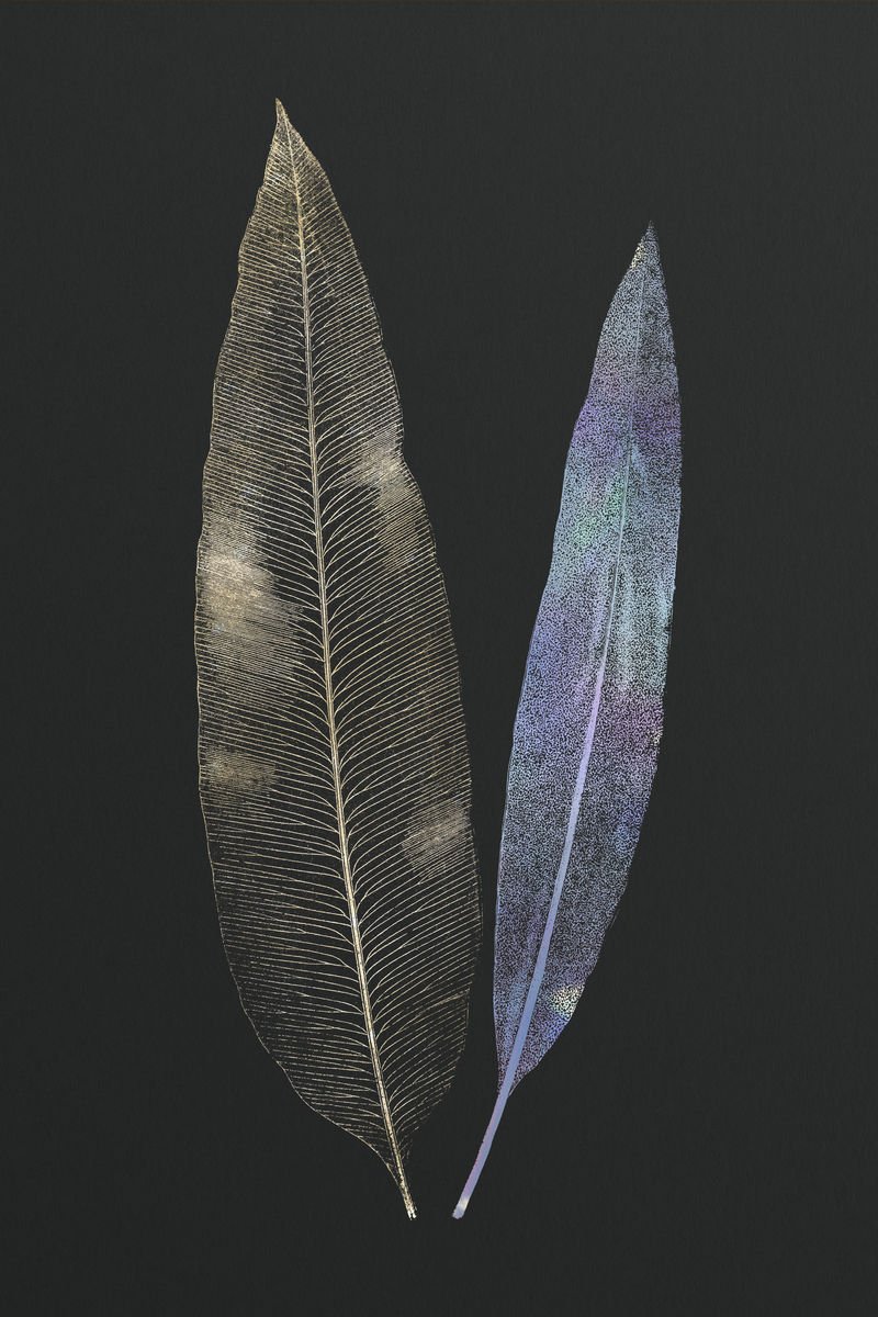 闪金蕨叶设计资源