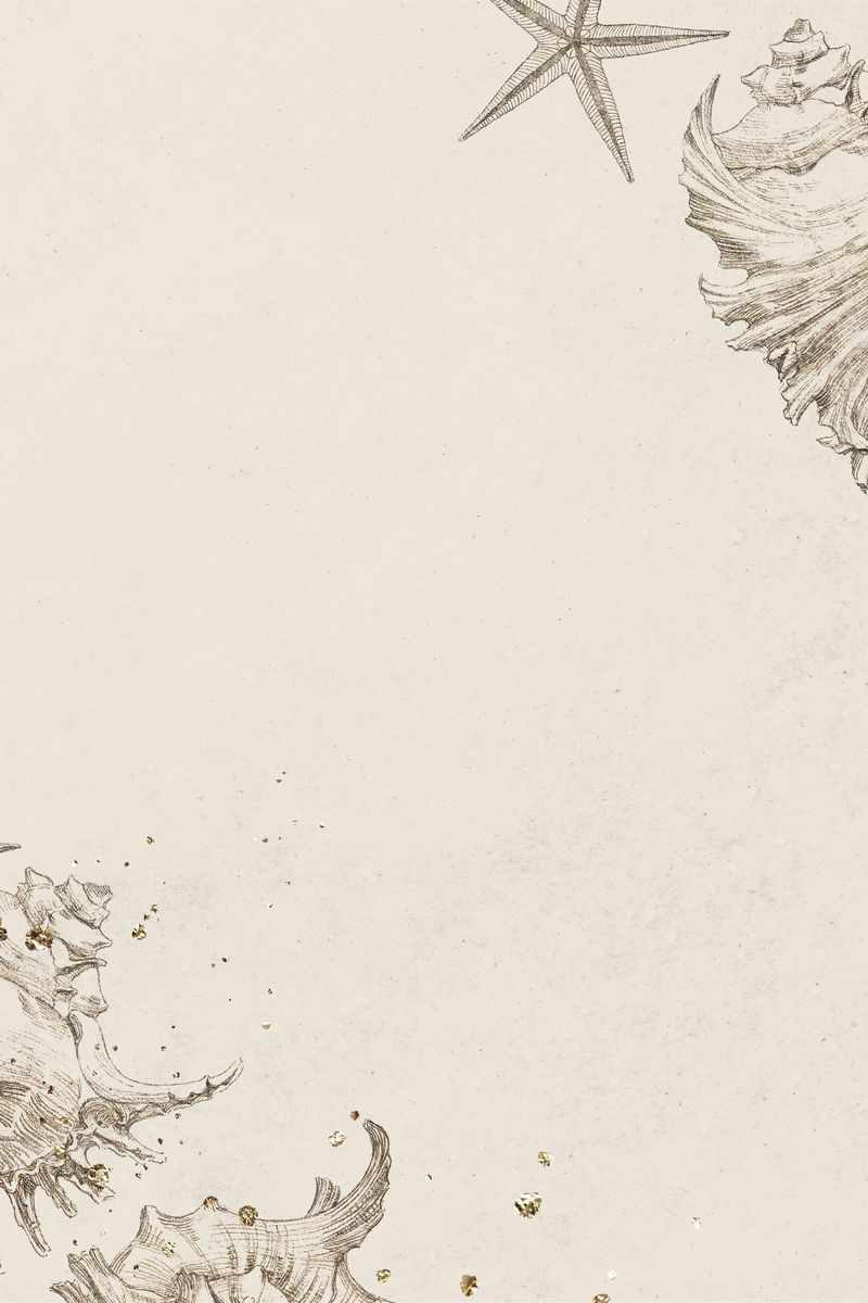 金珊瑚海星框架设计