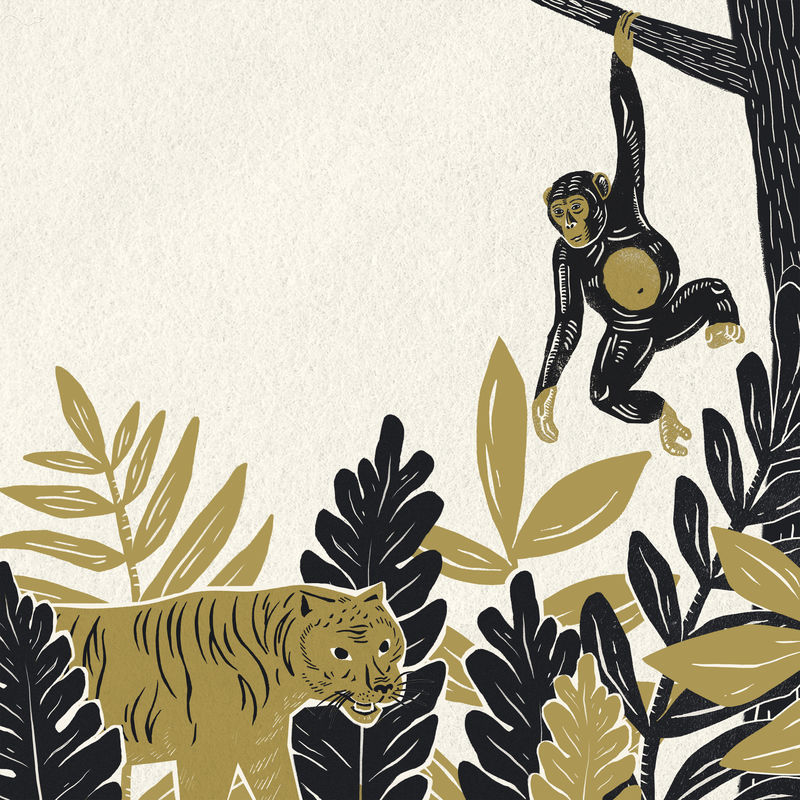 野生动物和植物背景