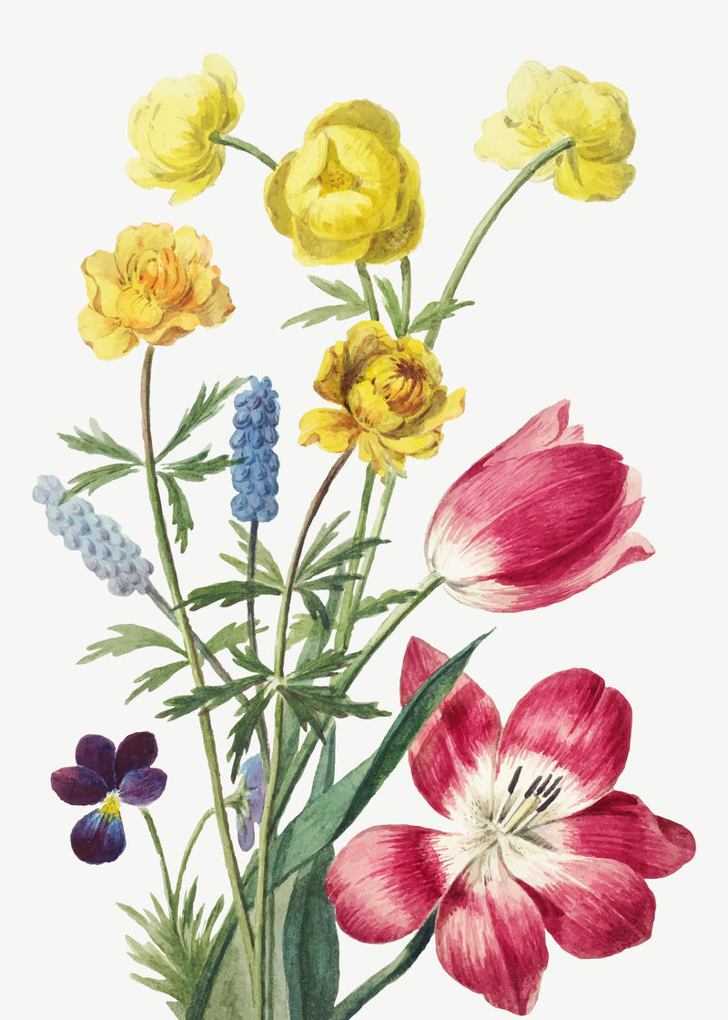 复古花卉插画矢量从艺术作品的混音